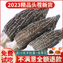 New Yunnan Yang Yingnan Dry Stock Wild 500g Special Fresh Fungus Mushrooms Gift Box Buffalo Belly Official Flagship Store