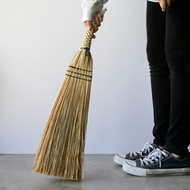 Zero selection of Japanese PUEBCO new listing household cleaning broom dust cleaning equipment