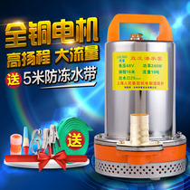 DC 24V48V60V high lift well pumping agricultural irrigation household micro pump 12v submersible pump small