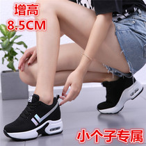 33 small size inner increase womens shoes 2020 spring mother thick-soled fashion old Beijing cloth shoes small sports shoes single