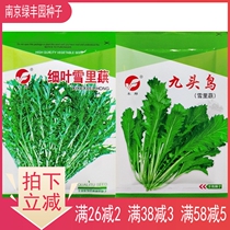 Nine-headed bird snow potherb seeds fine leaves snow vegetables big leaves snow vegetables big leaves Snow red seeds pickles vegetables 10 grams 2500 grains