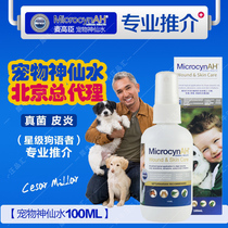 American Microcyn Mai Gaochen pet fairy water dog cat fungus pus skin 100ML rhinoceros Wang Pin