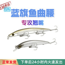 Blue Flag Fish Curry Waist Road Subbait Shallow Mino Suspended Fake Bait Ultra Far Throw Upper-level Specie Bait Intended Bait