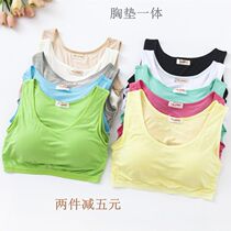 Modale woman with chest cushion harness vest short section without steel ring bra integrated with breast wrap chest yoga underunderwear