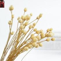 Luxury fragrance sticks fragrance decoration plus coarse aromatherapy essential oil volatile stick rattan ball niche fragrant branches home ornaments