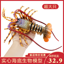 New product simulation lobster model large Australian lobster Boston lobster Marine animals Childrens toys