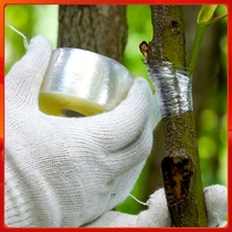 Graft Film Fruit Tree Winding Membrane Graft Special Film Self-Adhesive Graft Free Knotting Transparent Pull Extension Film Packaging Film