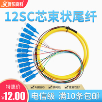 Jinyang Gaoke 12-core bundle pigtail SC square head FC round head LC connector single-mode fiber jumper telecom grade pigtail