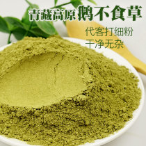 Qinghai-Tibet wild goose not herbivore 100g nose powder fresh powder non-traditional Chinese medicine hungry goose does not eat ultra-fine goose do not eat grass