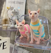 Cream is only hairy cat Svenx Devin Conice Pets Kitty Clothes Spring Summer New Pure Cotton