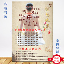 Back meridian massage vertical map acupoint maintenance advertising wall map massage efficacy indications crowd stickers