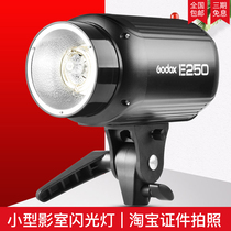 Shenniu E250W studio photography light flash indoor small photo fill light shooting light