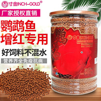 Golden blood parrot redening and colorizing feed Red parrot fish Tropical fish Ornamental fish Fortune map fish Fish food