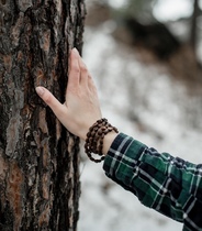 Spot cedar seed hand string Siberian imported cedar necklace Anastasia Mingling cedar