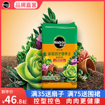 Melochia fleshy Universal Soil meat beodle soil Sedum 12-volume plant planting soil potted nutrient soil