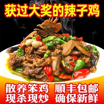 Zaozhuang spicy chicken vacuum suit Linyi Shandong fried chicken Jining Xuzhou Tengzhou spicy chicken specialty whole rooster
