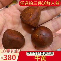 Natural bezoar 380 yuan 10 grams of pure dry bile yellow cattle yellow cattle cattle calculi package test test