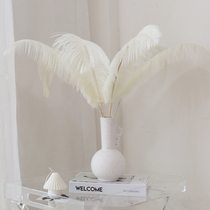 WULI HOME IVORY WHITE OSTRICH GREAT FEATHER TABLETOP DÉCOR STORE LIVING ROOM SOFT DRESS