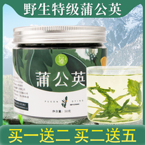 Buy one hair two dandelion tea Changbai Mountain wild natural public Puying whole roots pure with root dry extra bottle