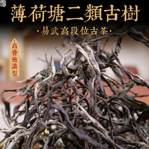 2022 Spring Tea Mint Pond Two Types High Pole Ancient Tree Loose Tea Easy Wugao High Section Tea Yunnan Tea Loose Tea 1 Cati