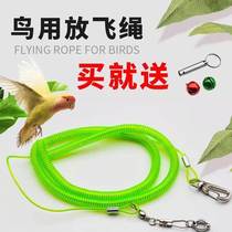 Parrot puts the flying rope anklet ankle ankle ankle ring tiger skin mudan blank wind starling rope stainless steel training bird chain traction