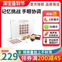 Game Continent Copa Seed Chess Memory Challenge Hand-eye coordination Fun Family strategy board game