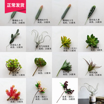 Creative Nordic Wind Emulation Plant Fake Multimeat Green Plant in the Living Room Indoor Window Terrace Shop