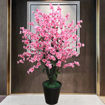 Simulation plant potted plant pendulum piece home decoration simulation Flower Hongkyun When the head peach blossom trees are green planting and landing bonsai fake