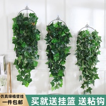 Simulation plant hanging basket fake flower rattan plastic green leaf leaves green leaf chlorophyte indoor wall decorative vine