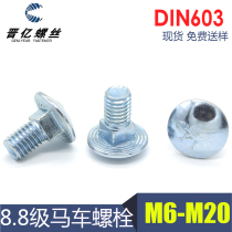 Horse Bolt screw M16M12M10M8 half round head square neck bolt galvanized high strength 8 grade DIN603
