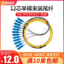 Jinyang high tech new 12 core SC bundle pigtail single mode SC fc st lc bundle pigtail factory direct support custom