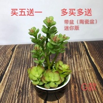 Simulation multi-meat plant small potted indoor living room for laying false flowers simulation green planting pendulum pieces small bonsai decorations