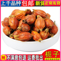 Chinese herbal medicine wild selected large grain branches powder yellow red Mountain Gardenia edible agricultural products