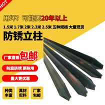 Anti-rust wire mesh isolated column cowfence network NetherNet Netherlands Network aquaculture orchard fence fence