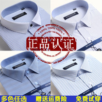 Spring and autumn new mens long-sleeved shirt green middle-aged business free ironing dad formal DP shirt