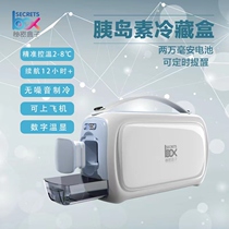 Insulin refrigerator box portable medicine special rechargeable battery car small mini travel refrigerator carry-on