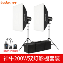 Shen Niu Pioneer 200W two-light set Studio flash Studio Portrait ID E-commerce product shooting light