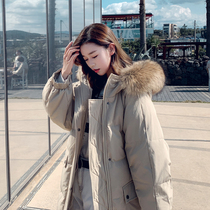 Sandro Fashiong rare style texture with fashionable and distinctive temperament