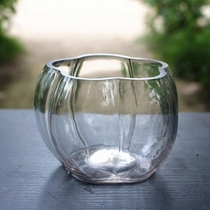 Small pumpkin shape glass hydroponic vase Hydroponic special glass flower pot can raise copper money grass pumpkin glass basin