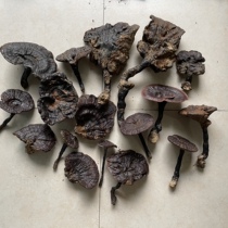 Wild Zizhi pure wild looks good and ugly have size mixed hair 250 grams