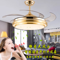 LED invisible fan dining chandelier voice control ceiling silent fan living room light big wind frequency conversion bedroom light