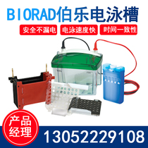 American Bole electrophoresis tank BIORAD small vertical electrophoresis transfer tank Mini-PROTEAN electrophoresis protein tank