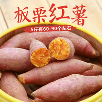 Sweet potato fresh chestnut sweet potato soft waxy honey potato farmhouse small red sweet potato sweet potato purple potato 10kg sweet potato