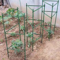 Cucumber Rack Tomatoes Tomato climbing bracket Climbing Rattan Plant Bracket Eggplant Rack Bean Corner Climbing and Pillar Gardening
