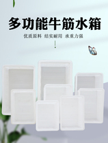 Rectangular Breeding Large Capacity Water Storage Tank Rectangular Thickening of Enlarged Plastic Bucket Plastic Barrel Breeding Box
