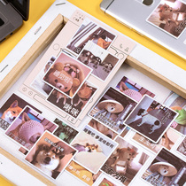 Offer Net Red fight picture small expert and paper sticker bag cartoon cute funny hand account material decoration stickers