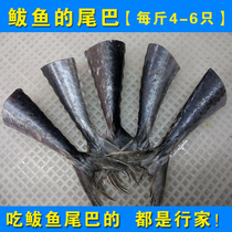 2 Jin wild mackerel tail fresh seafood wild mackerel tail mackerel tail full