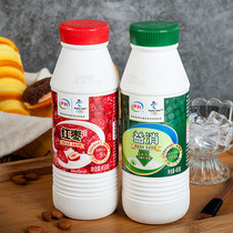 IInterest Yogurt Yogurt 450g * 4 Bottles Original Taste Red Date Flavor Fermented Milky Yogurt Children Nutritious Breakfast Milk