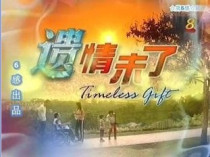 DVD version The legacy is yet to come] Li Mingshun Chen Zhicai Chen Taiming 20 episodes 2 discs