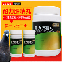 Glad pigeon medicine liver essence pills for pigeons Liver and kidney health care conditioning for carrier pigeons Endurance pigeon medicine Daquan common diseases